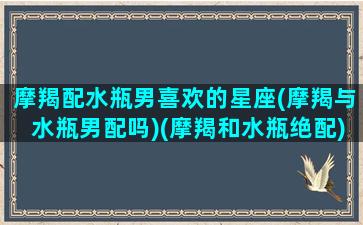 摩羯配水瓶男喜欢的星座(摩羯与水瓶男配吗)(摩羯和水瓶绝配)