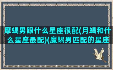 摩蝎男跟什么星座很配(月蝎和什么星座最配)(魔蝎男匹配的星座配对)