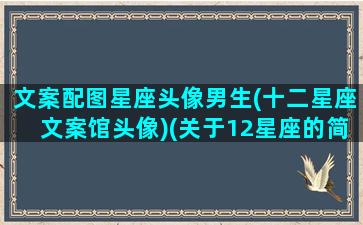 文案配图星座头像男生(十二星座文案馆头像)(关于12星座的简短文案)