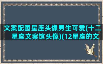 文案配图星座头像男生可爱(十二星座文案馆头像)(12星座的文案)