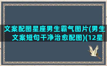 文案配图星座男生霸气图片(男生文案短句干净治愈配图)(12星座男生专属头像动漫带字)