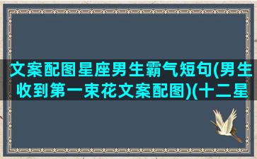 文案配图星座男生霸气短句(男生收到第一束花文案配图)(十二星座男发朋友圈目的)