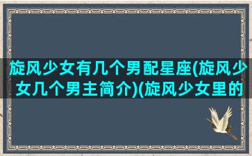 旋风少女有几个男配星座(旋风少女几个男主简介)(旋风少女里的男演员)