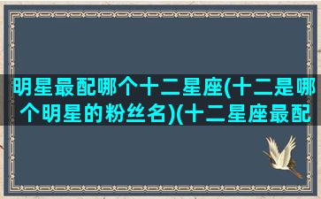 明星最配哪个十二星座(十二是哪个明星的粉丝名)(十二星座最配的明星老公)