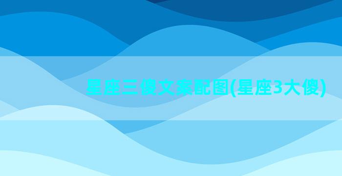 星座三傻文案配图(星座3大傻)