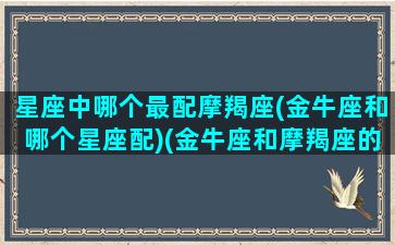 星座中哪个最配摩羯座(金牛座和哪个星座配)(金牛座和摩羯座的匹配度是多少)