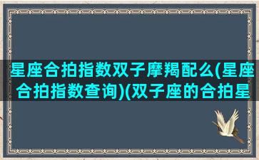 星座合拍指数双子摩羯配么(星座合拍指数查询)(双子座的合拍星座)