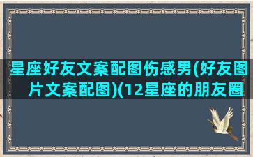 星座好友文案配图伤感男(好友图片文案配图)(12星座的朋友圈)