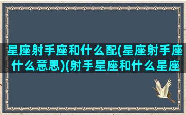 星座射手座和什么配(星座射手座什么意思)(射手星座和什么星座最配对)