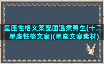 星座性格文案配图温柔男生(十二星座性格文案)(星座文案素材)