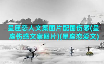 星座恋人文案图片配图伤感(星座伤感文案图片)(星座恋爱文)