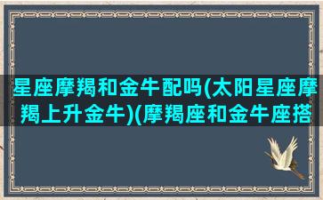 星座摩羯和金牛配吗(太阳星座摩羯上升金牛)(摩羯座和金牛座搭吗)