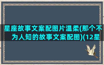 星座故事文案配图片温柔(那个不为人知的故事文案配图)(12星座小故事)