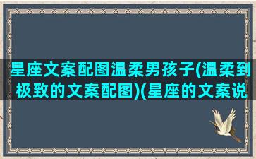 星座文案配图温柔男孩子(温柔到极致的文案配图)(星座的文案说说)