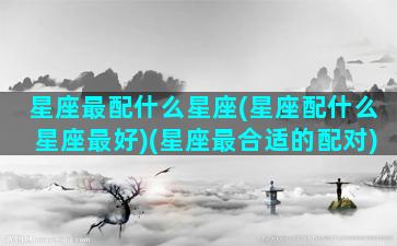 星座最配什么星座(星座配什么星座最好)(星座最合适的配对)