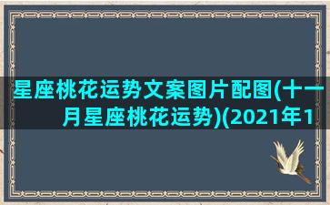 星座桃花运势文案图片配图(十一月星座桃花运势)(2021年12星座桃花运势)