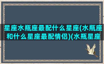 星座水瓶座最配什么星座(水瓶座和什么星座最配情侣)(水瓶星座和什么星座最般配)