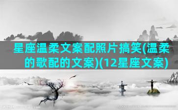 星座温柔文案配照片搞笑(温柔的歌配的文案)(12星座文案)