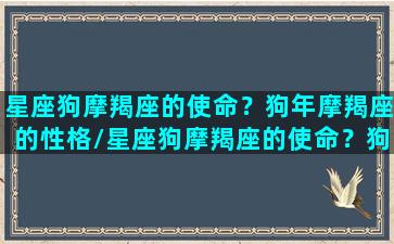 星座狗摩羯座的使命？狗年摩羯座的性格/星座狗摩羯座的使命？狗年摩羯座的性格-我的网站