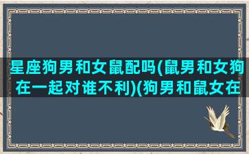 星座狗男和女鼠配吗(鼠男和女狗在一起对谁不利)(狗男和鼠女在一起后果)