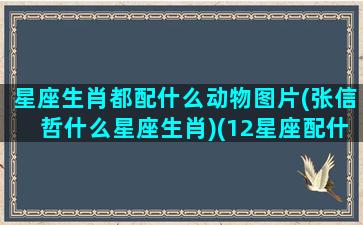 星座生肖都配什么动物图片(张信哲什么星座生肖)(12星座配什么动物)