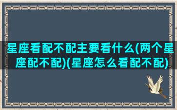 星座看配不配主要看什么(两个星座配不配)(星座怎么看配不配)