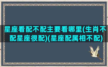 星座看配不配主要看哪里(生肖不配星座很配)(星座配属相不配)