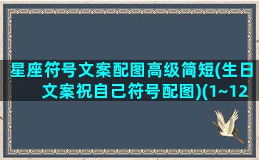 星座符号文案配图高级简短(生日文案祝自己符号配图)(1~12星座符号)