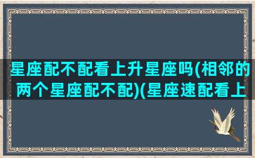 星座配不配看上升星座吗(相邻的两个星座配不配)(星座速配看上升星座吗)