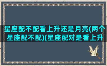 星座配不配看上升还是月亮(两个星座配不配)(星座配对是看上升还是太阳)