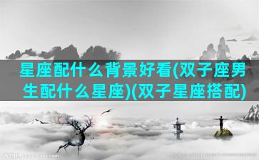 星座配什么背景好看(双子座男生配什么星座)(双子星座搭配)