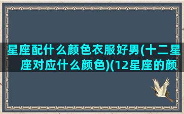 星座配什么颜色衣服好男(十二星座对应什么颜色)(12星座的颜色搭配)