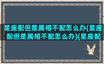 星座配但是属相不配怎么办(星座配但是属相不配怎么办)(星座配对一点都不准)