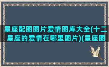 星座配图图片爱情图库大全(十二星座的爱情在哪里图片)(星座图带文字)