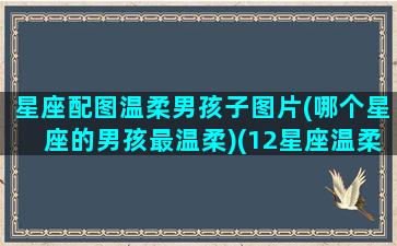 星座配图温柔男孩子图片(哪个星座的男孩最温柔)(12星座温柔)