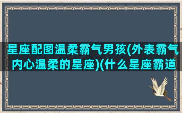 星座配图温柔霸气男孩(外表霸气内心温柔的星座)(什么星座霸道温柔浪漫)