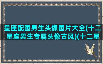 星座配图男生头像图片大全(十二星座男生专属头像古风)(十二星座男生专属头像带字)