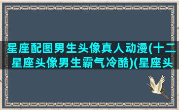 星座配图男生头像真人动漫(十二星座头像男生霸气冷酷)(星座头像男生带字霸气)