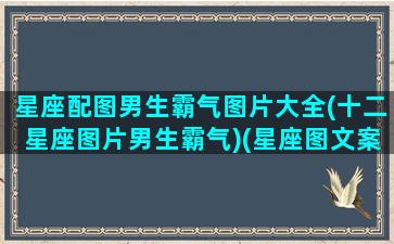 星座配图男生霸气图片大全(十二星座图片男生霸气)(星座图文案)