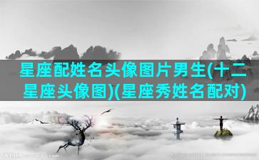 星座配姓名头像图片男生(十二星座头像图)(星座秀姓名配对)