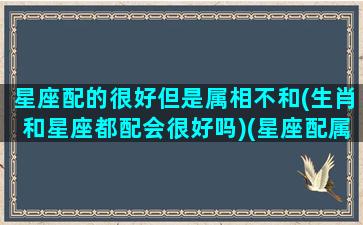 星座配的很好但是属相不和(生肖和星座都配会很好吗)(星座配属相不配怎么办)