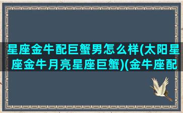 星座金牛配巨蟹男怎么样(太阳星座金牛月亮星座巨蟹)(金牛座配巨蟹座合适吗)