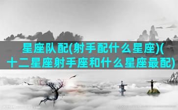 星座队配(射手配什么星座)(十二星座射手座和什么星座最配)