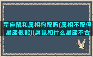 星座鼠和属相狗配吗(属相不配但星座很配)(属鼠和什么星座不合)