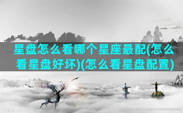 星盘怎么看哪个星座最配(怎么看星盘好坏)(怎么看星盘配置)