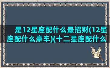 是12星座配什么最招财(12星座配什么豪车)(十二星座配什么颜色好看)