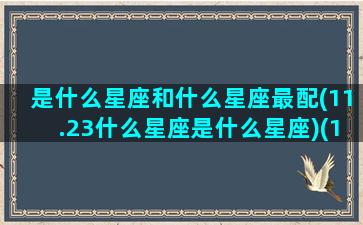 是什么星座和什么星座最配(11.23什么星座是什么星座)(11.23星座是射手还是天蝎呢)