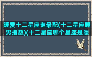 暖爱十二星座谁最配(十二星座暖男指数)(十二星座哪个星座是暖男)