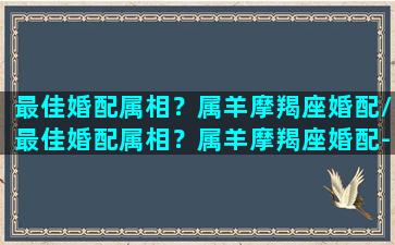 最佳婚配属相？属羊摩羯座婚配/最佳婚配属相？属羊摩羯座婚配-我的网站