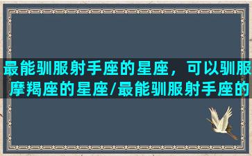 最能驯服射手座的星座，可以驯服摩羯座的星座/最能驯服射手座的星座，可以驯服摩羯座的星座-我的网站